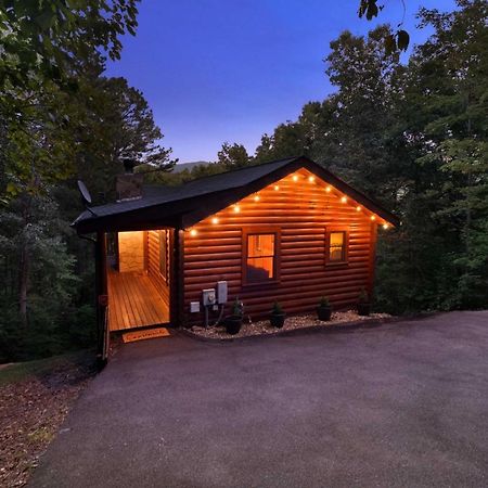 Private Smoky Mtn Log Home With 2 Decks And Hot Tub! 鸽子谷 外观 照片