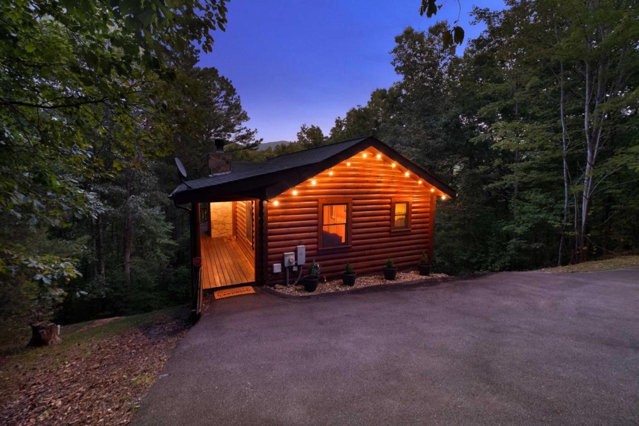 Private Smoky Mtn Log Home With 2 Decks And Hot Tub! 鸽子谷 外观 照片